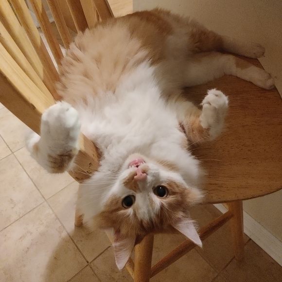 WELCOME 🙂 - Picture 2 of 2